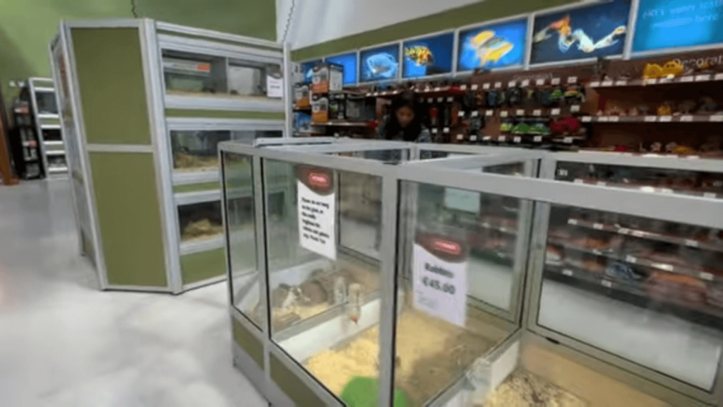 Best Pet Shops in Limerick
