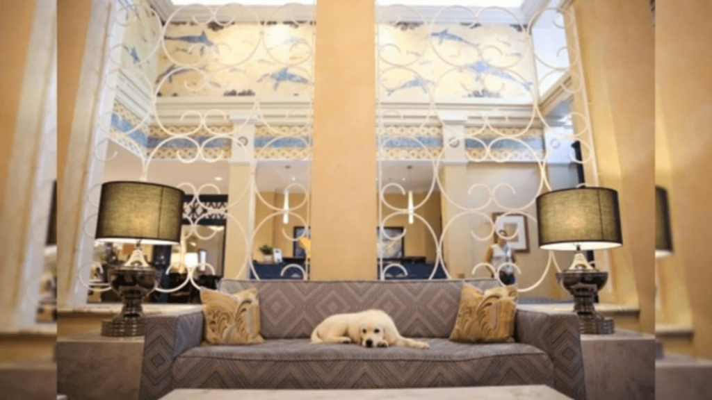 Dog-Friendly Hotels in Ireland