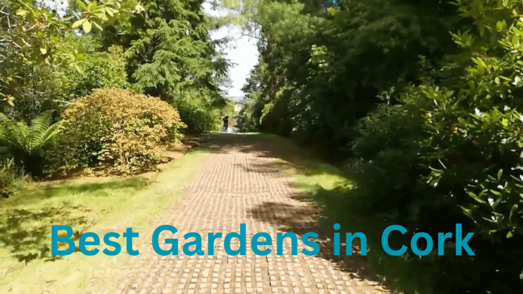 Best Gardens in Cork