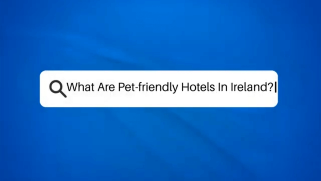 Pet-Friendly Accommodations in Ireland