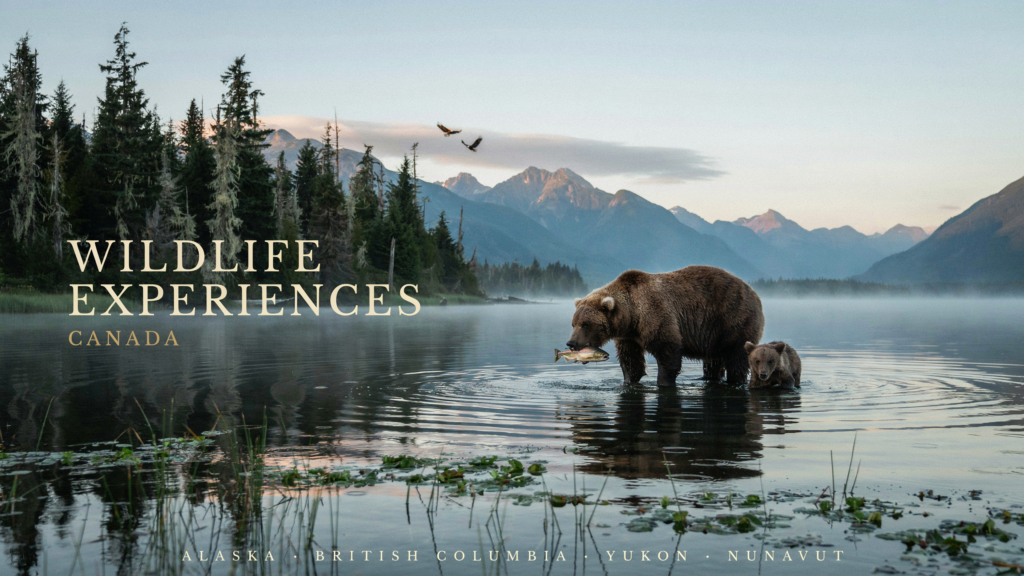 Wildlife Experiences Canada